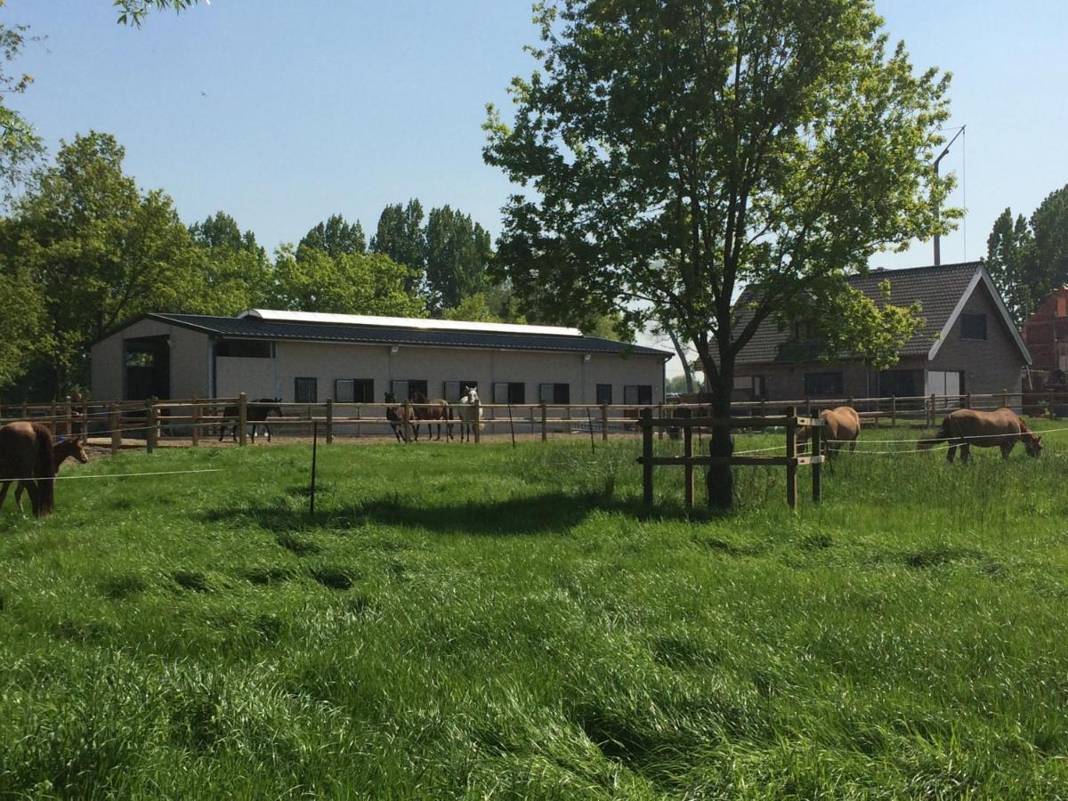 Vakantiehuisje 'T Morehof Oosterzele ภายนอก รูปภาพ